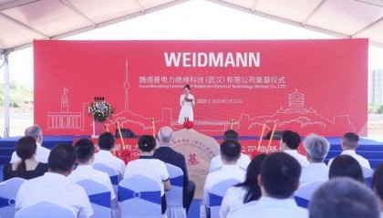 全球巨头,落子武汉