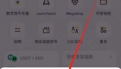 包含币安交易所平台的词条