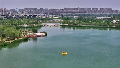 银川:夏日“塞上湖城”美如画