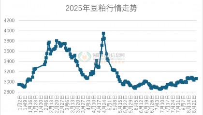 今日豆粕最新价格来袭!