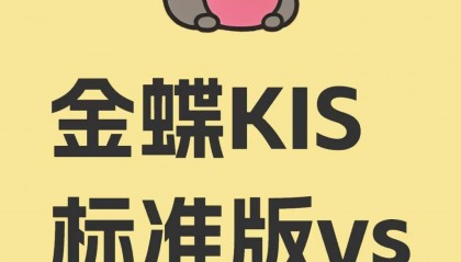 金蝶KIS专业版VS标准版:核心差异与选型指南