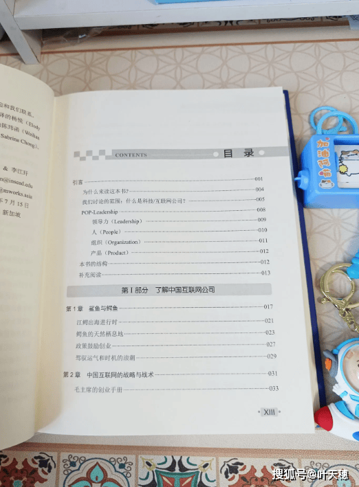 外卷：中国互联网巨头的全球征途