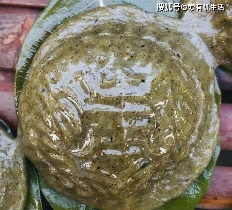 湛江清明吃什么？湛江清明节的风俗