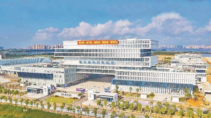 广东湛江：向海图强，挺起“产业湛江”硬脊梁