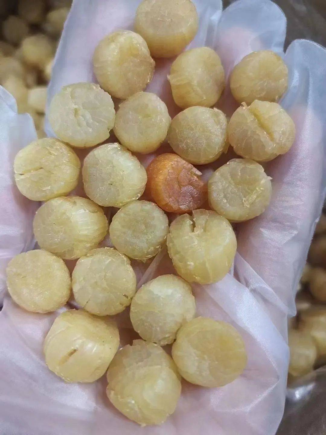 湛江特产