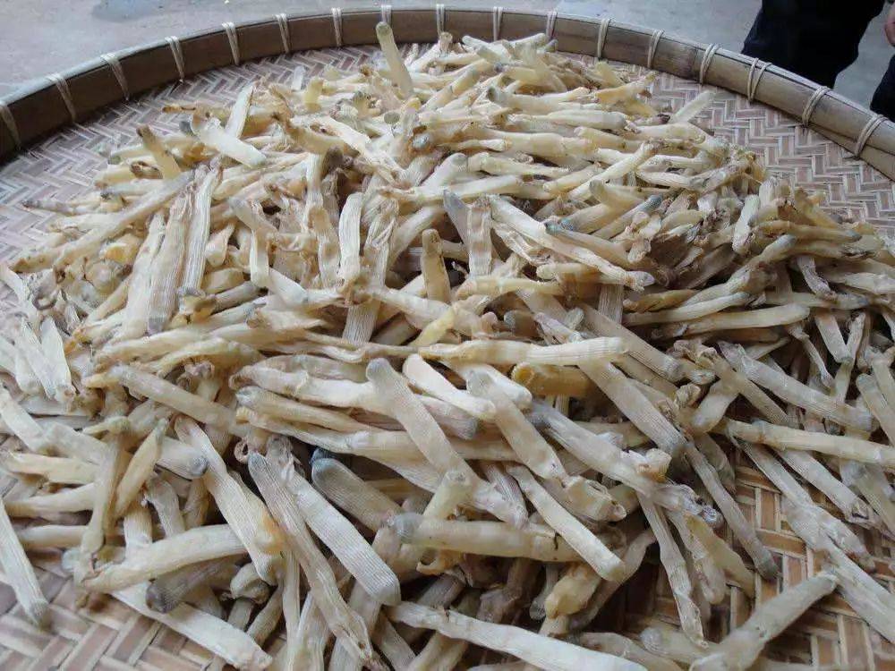 湛江特产
