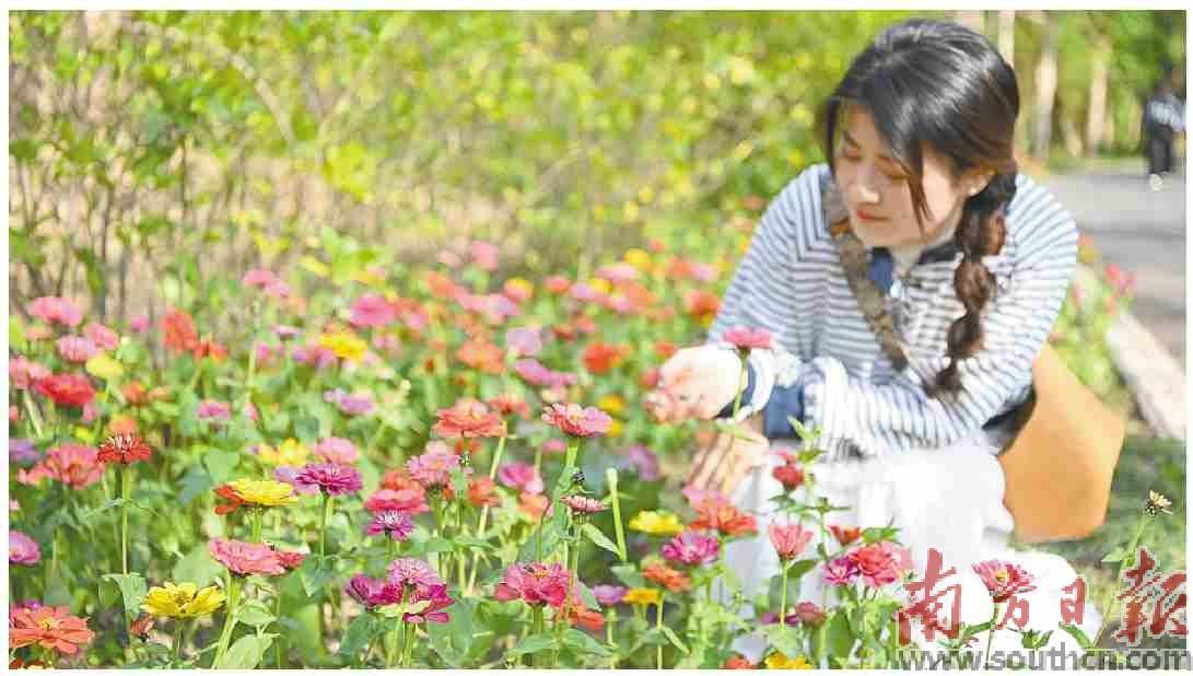 春日湛江 生机盎然