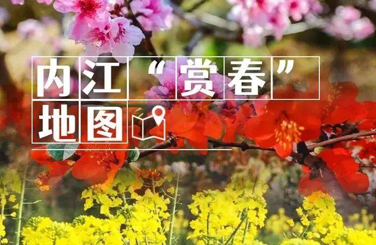 内江春分，一键“点亮”！