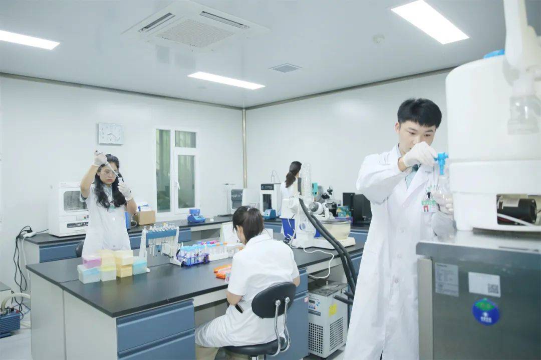 泰安市中心医院2024年度十大新闻