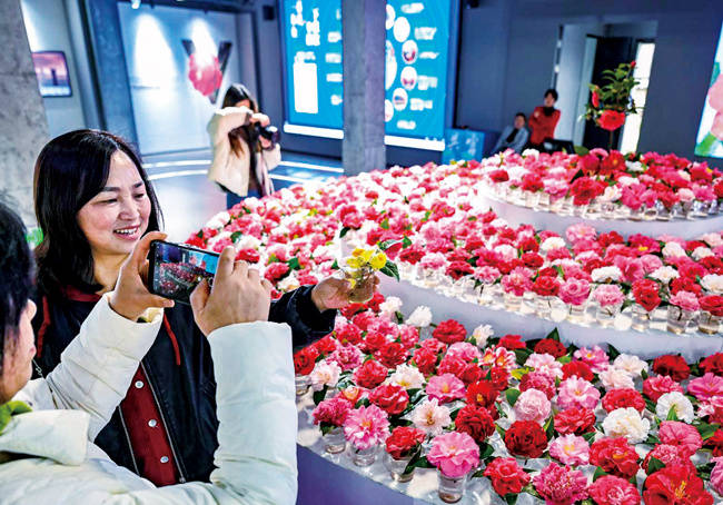 金华：花香雅韵 共富竹马