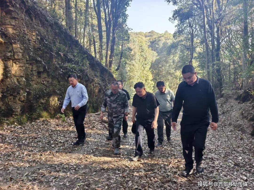 玉溪：市级林长普光照，巡林调研