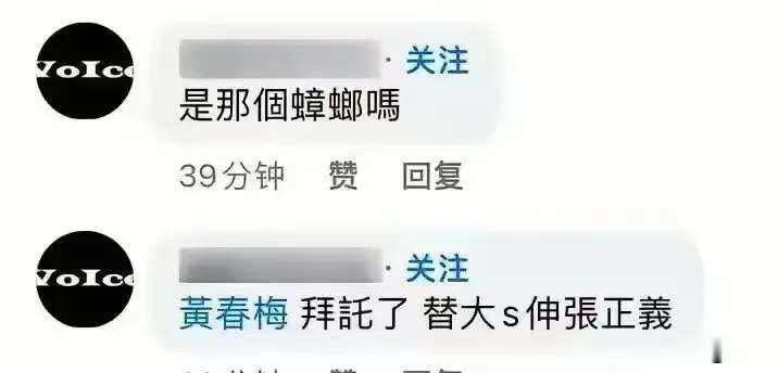 大小S老东家东森新闻下场发声！黄春梅“伸张正义”遭网友炮轰，这场大戏何时休？