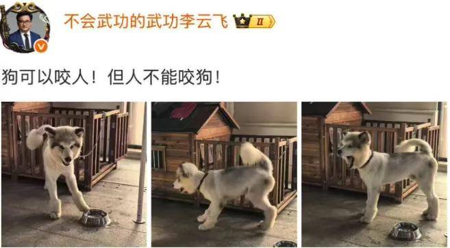 娱乐博主前30名最少月入400万;腾讯京东等收购48座万达;一公司用程序员冒充AI骗得亚马逊微软投资……