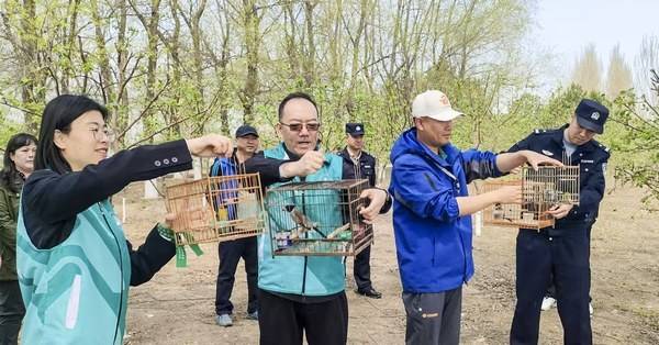 齐齐哈尔多方联动放飞野生保护鸟类