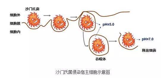 官方通报:一幼儿园发生中毒事件,发病130例