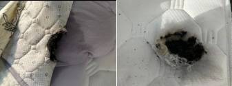 女子睡觉时,床上的它突然爆炸!紧急提醒